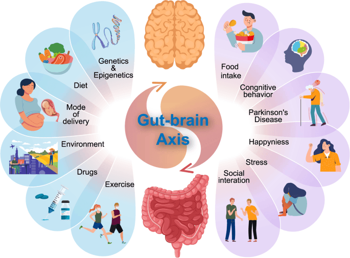 Factors Affecting Gut Health